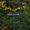 Loosdorf